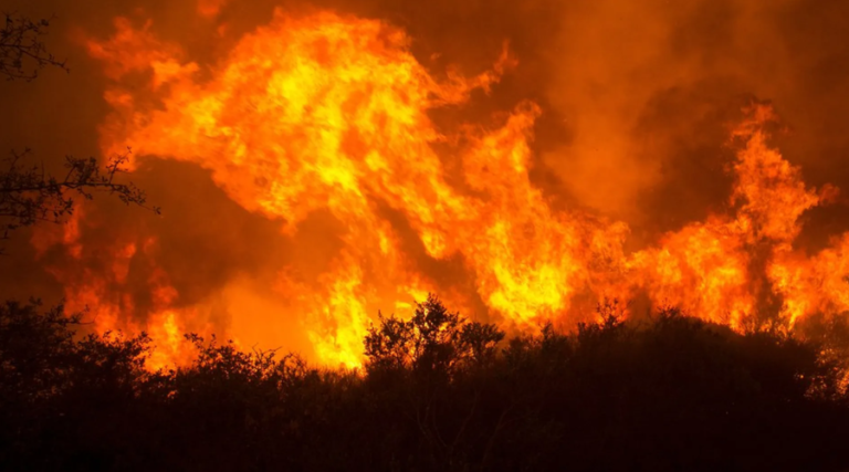 LA Wildfires Recovery 2026: Rebuilding Costs, Aid & What’s Happening Now LA Wildfires Recovery 2026
