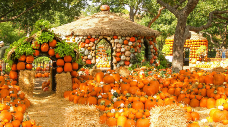 Best Fall State Fairs & Harvest Festivals in the US 2026 Best Fall State Fairs