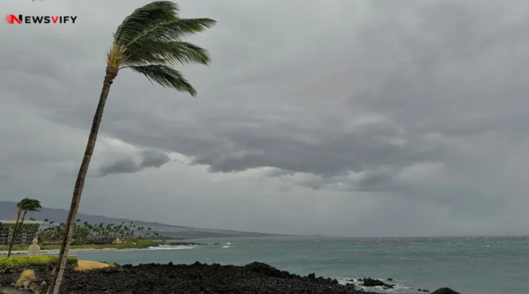 Hurricane Season 2026 forecast